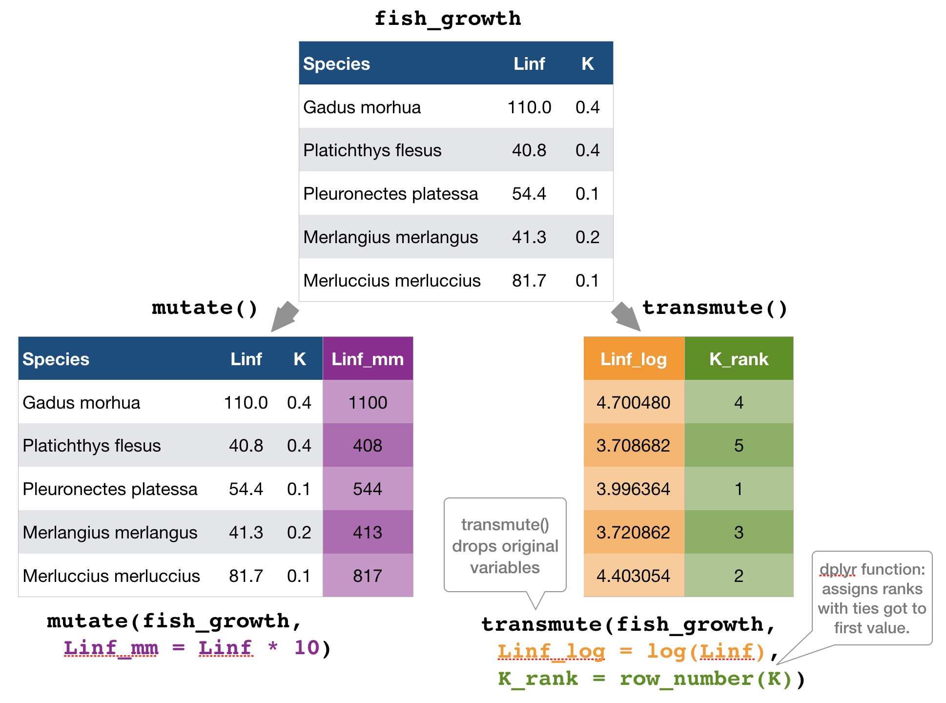 plot of chunk unnamed-chunk-6