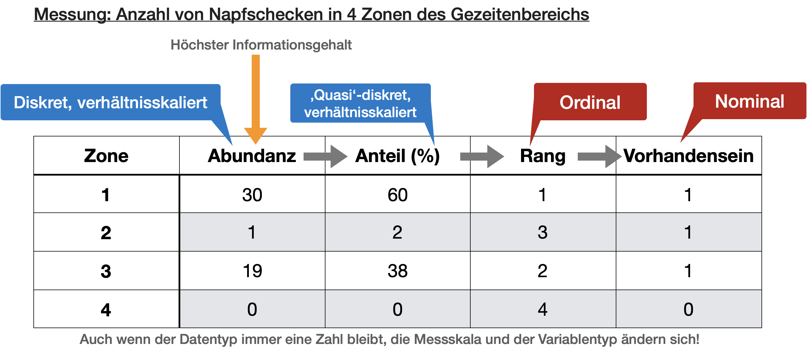 9Korrelation & Transformation